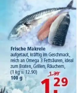 Multi Markt Frische Makrele Angebot