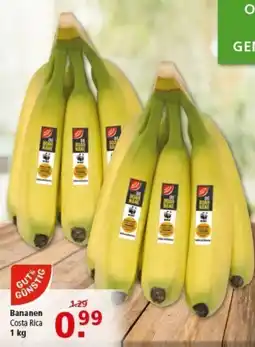 Multi Markt GUT&GÜNSTIG Bananen Angebot
