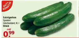 Multi Markt GUT&GÜNSTIG Salatgurken Angebot