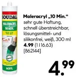 Hellweg SOUDAL Maleracryl „10 Min." Angebot