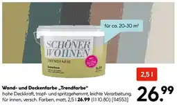 Hellweg SCHÖNER WOHNEN Wand- und Deckenfarbe ,,Trendfarbe" Angebot