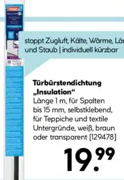 Hellweg Tesa Türbürstendichtung „Insulation" Angebot