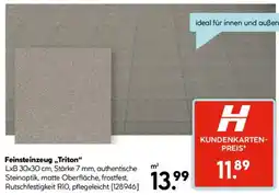 Hellweg Feinsteinzeug ,,Triton" Angebot