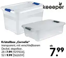 Hellweg keeeper Kristallbox ,,Cornelia" Angebot