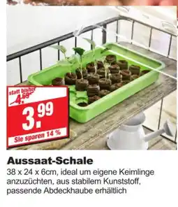 bauSpezi Aussaat-schale Angebot