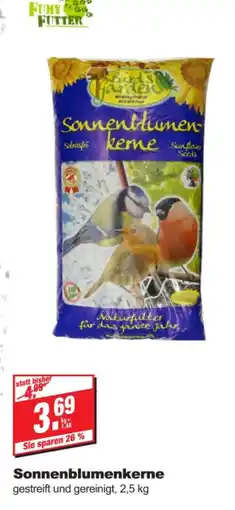 bauSpezi Sonnenblumenkerne Angebot