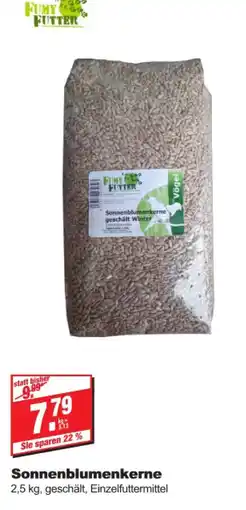 bauSpezi Fimy futter sonnenblumenkerne Angebot