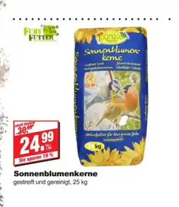 bauSpezi Filmy fitter sonnenblumenkerne Angebot