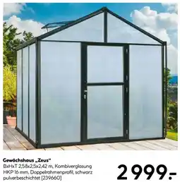 Hellweg Gewächshaus „Zeus" Angebot