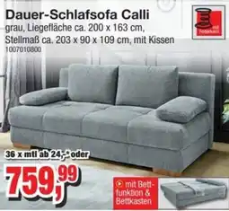 Möbelfundgrube Dauer-Schlafsofa Calli Angebot