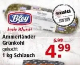 Multi Markt Bley Ammerländer Grünkohl Angebot