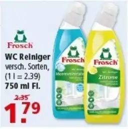 Multi Markt Frosch WC Reiniger Angebot