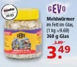 Multi Markt GEVO Mehlwürmer Angebot