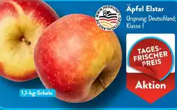Aldi Süd Äpfel Elstar Angebot