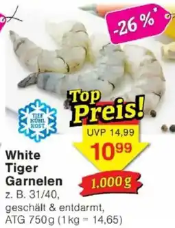 Jawoll White Tiger Garnelen Angebot