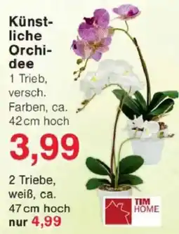 Jawoll TIM HOME Künstliche Orchidee Angebot