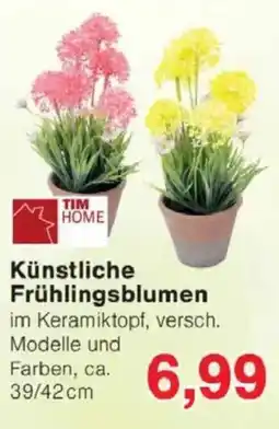Jawoll TIM HOME Künstliche Frühlingsblumen Angebot