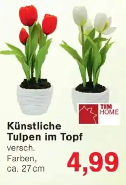 Jawoll TIM HOME Künstliche Farben, Tulpen im Topf Angebot