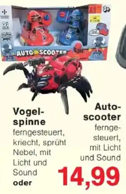 Jawoll Vogelspinne oder Auto- scooter Angebot