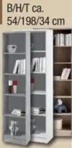 Möbelfundgrube Regale Optimus Angebot