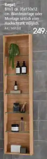 Zurbrüggen LINEA NATURA Regal Angebot