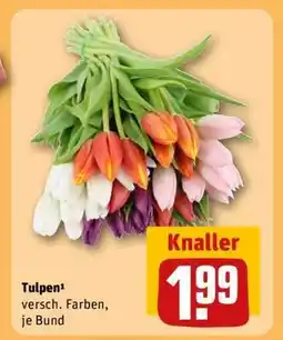 REWE Tulpen Angebot