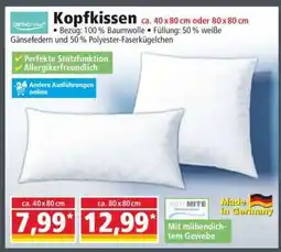 Norma Kopfkissen Angebot