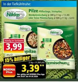 Norma Pilze Angebot