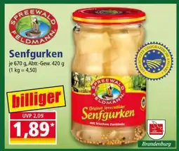 Norma Senfgurken Angebot