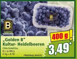 Norma Golden B Kultur-Heidelbeeren Angebot