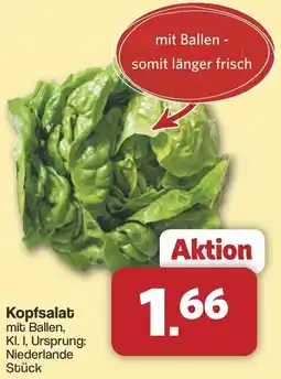 Famila Nord West Kopfsalat Angebot