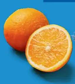 Lidl Orangen Angebot