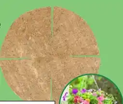 Thomas Philipps Grüner Jan Kokoseinlage Angebot