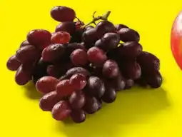 Lidl Trauben Angebot