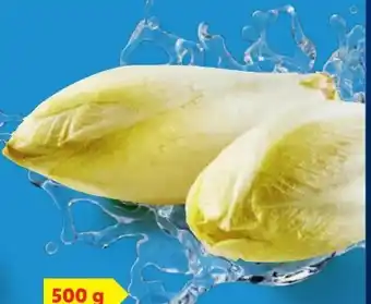 Lidl Chicoree Angebot