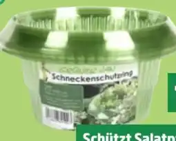 Thomas Philipps Grüner Jan Schneckenschutzring Angebot