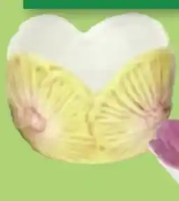 Thomas Philipps Topf Blüte Angebot