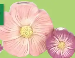 Thomas Philipps Deko Vase Blüte Angebot