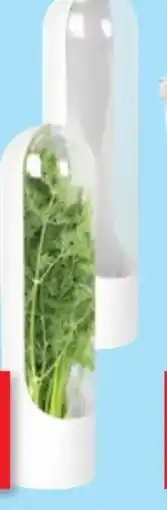 Thomas Philipps Kräuter Frischhaltebehälter Angebot