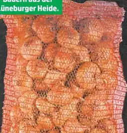 Thomas Philipps Speisezwiebeln XXL Angebot