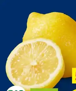 Lidl Bio Zitronengras Angebot