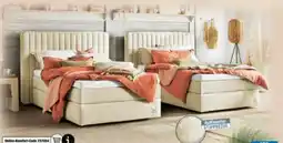 Ostermann Sansibar Boxspringbett Vinterdal Angebot