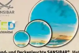 Trends Möbel Sansibar Wand- und Deckenleuchte Angebot