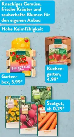 Aldi Süd Gardenline Saatgut Angebot