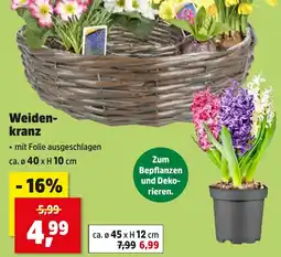 Thomas Philipps Weidenkranz Angebot