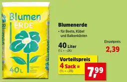 Thomas Philipps Blumenerde Angebot