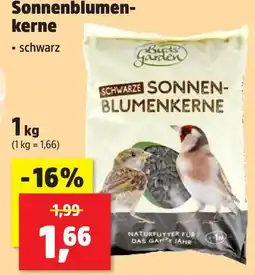 Thomas Philipps Birds garden sonnenblumenkerne Angebot