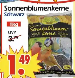 Wreesmann Sonnenblumenkerne schwarz Angebot
