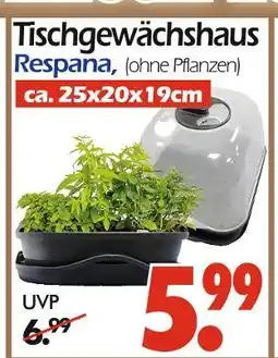 Wreesmann Respana tischgewächshaus Angebot