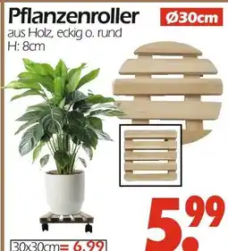 Wreesmann Pflanzenroller Angebot